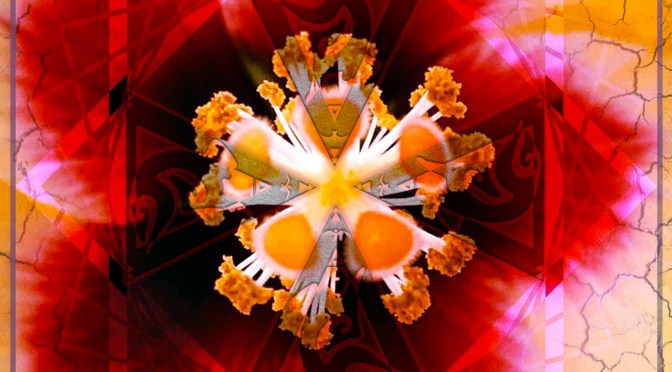 Pua Hone like you have never heard before